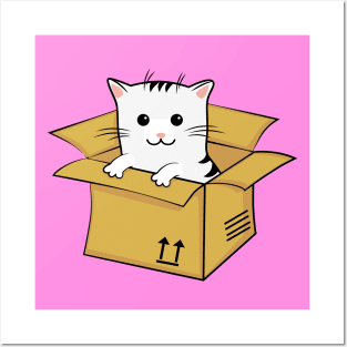 Cat In A Box Posters and Art